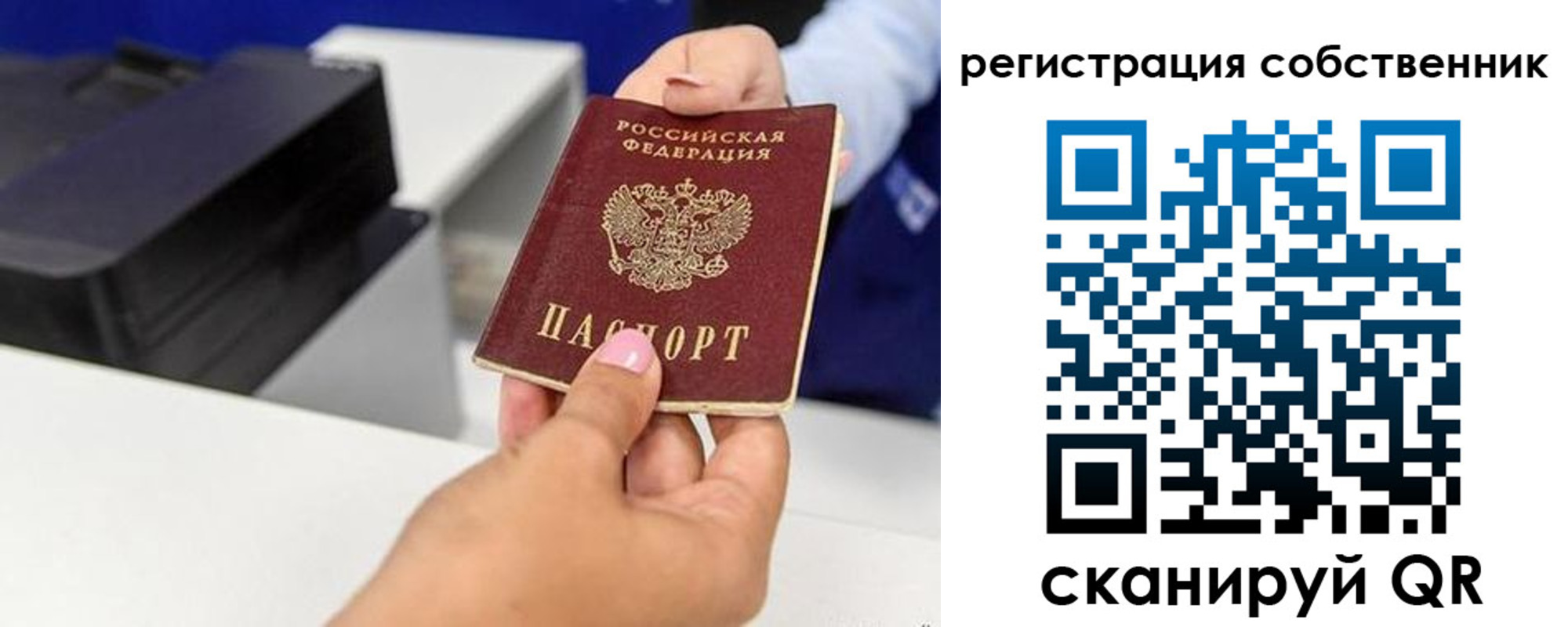 прописка для школы в Сальске